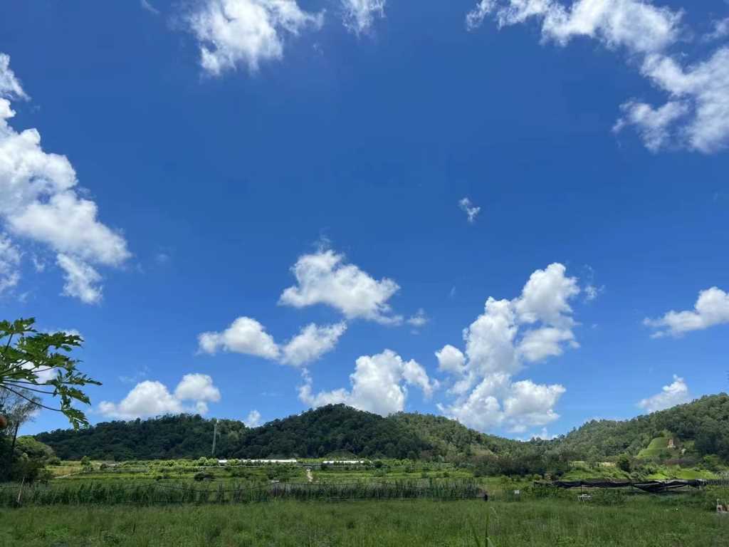 公司團建營地燒烤野炊深圳農(nóng)家樂一日游